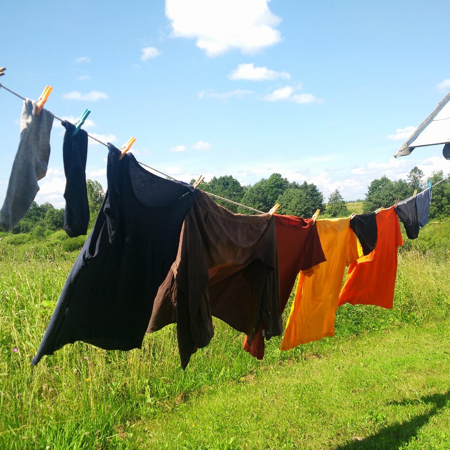 Multiuse drying wire Multiuse drying wire
